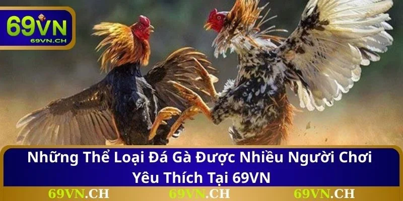 Những thể loại đá gà được nhiều người chơi yêu thích tại 69VN