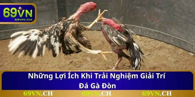 Những lợi ích khi trải nghiệm giải trí đá gà đòn