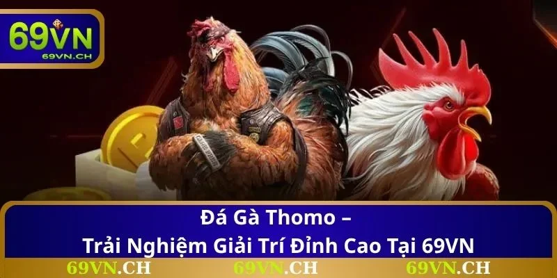 Đá Gà Thomo – Trải Nghiệm Giải Trí Đỉnh Cao Tại 69VN